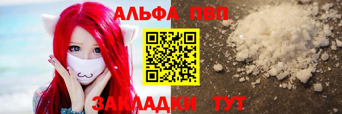 A PVP СК Котлас