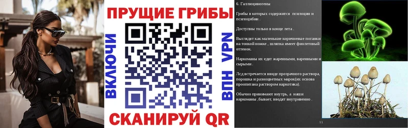 mega маркетплейс  Котлас  Галлюциногенные грибы Magic Shrooms  где купить наркоту 
